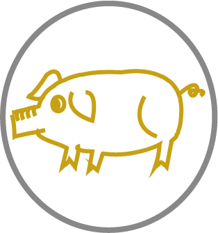 png12